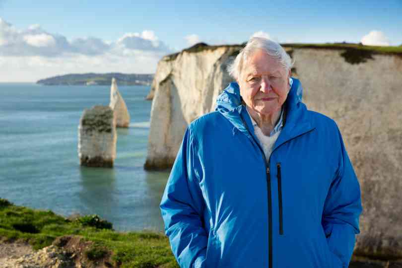 DAVID ATTENBOROUGH : L’APPEL DE L’OCÉAN